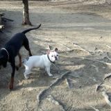 Kiki mit Auri und Bermede